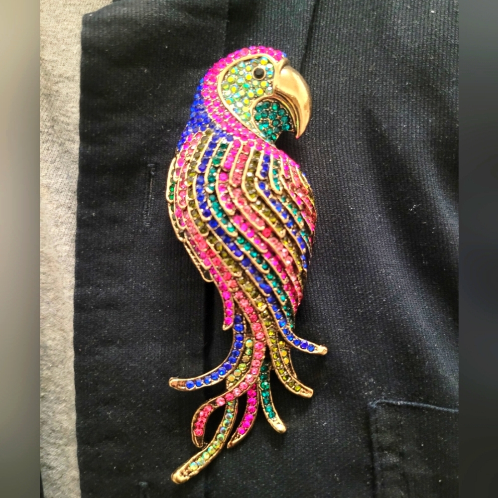 Parrot Alloy Rhinestone Brooch